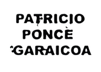 EL RAPTO DE MAGY - Ponce Garaicoa Patricio 