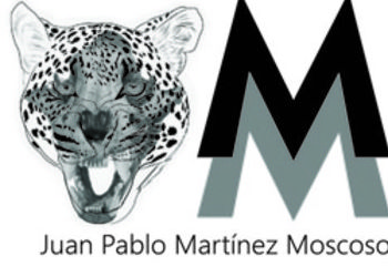 Deconstrucción zoológica serie (Jaguar) - Martínez Juan Pablo 