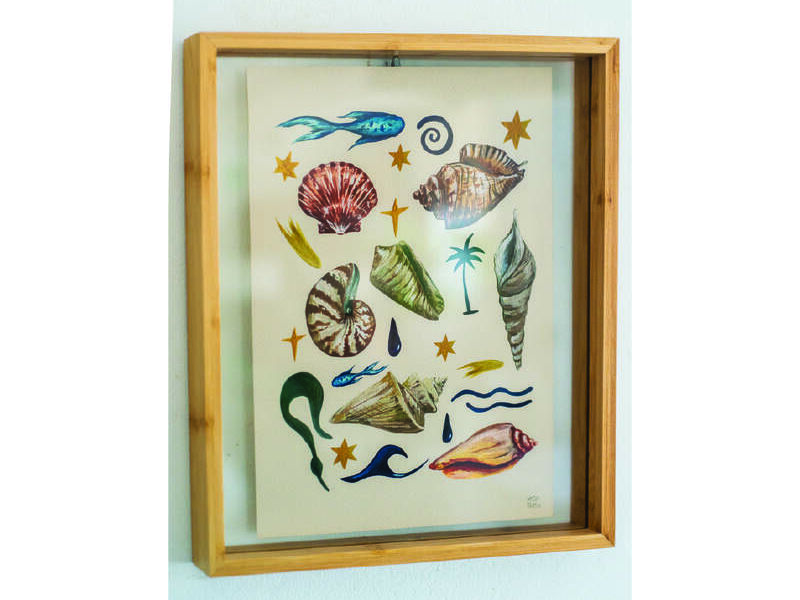 Conchitas y playa - Koa Prato | ARTEX